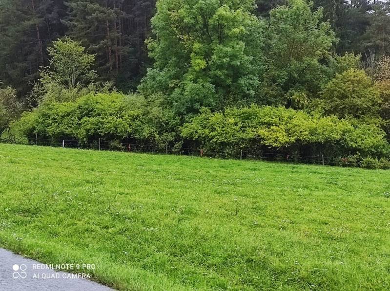 ČREMOŠNÉ-chalupa na pozemku 700m2   - Zeleň pri lese s hustými kríkmi na okraji. Rodinný dom v prírodnej lokalite.