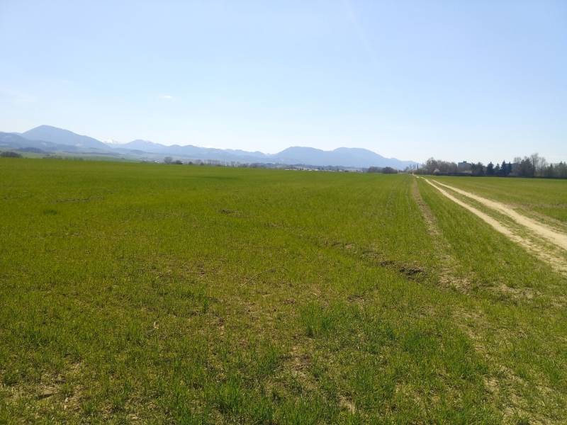 MARTIN- Záturčie pozemok na developerské a komerčné účely 4662 m2 - Rozsiahly zelený pozemok na bývanie s poľnou cestou a horskou panorámou na obzore.