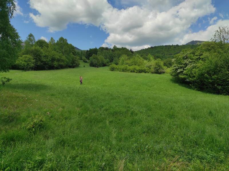 ŠÚTOVO, pozemok 6047m2,okr. MARTIN - Rozľahlé zelené pozemky obklopené prírodou, ideálne pre bývanie a relaxáciu.