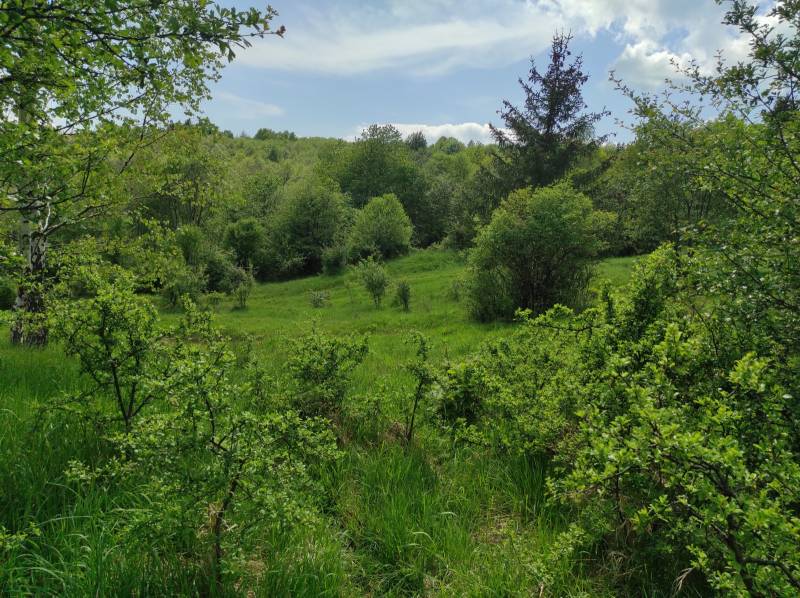 ŠÚTOVO, pozemok 6047m2,okr. MARTIN - Krásna lesnatá krajina s trávnatými plochami, vhodná pre pozemky na bývanie.