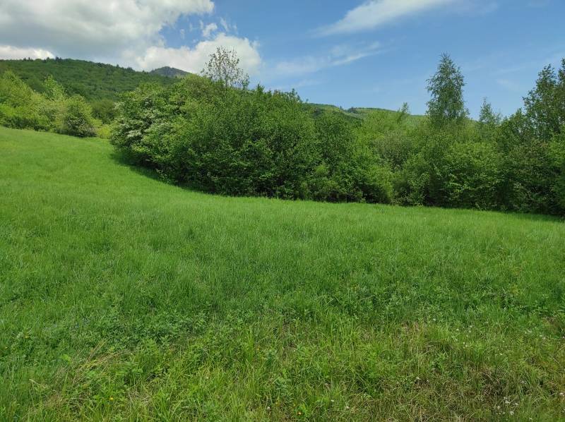 ŠÚTOVO, pozemok 6047m2,okr. MARTIN - Trávnaté pozemky na bývanie s lesom v pozadí a modrou oblohou.