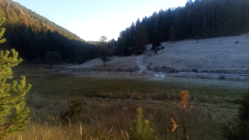 BRIEŠTIE- Hadviga lesný trávnatý pozemok 13 710 m2, vhodný na usadlosť - Zasnežená horská krajina s lesom a lúkou, ideálna pre poľnohospodárske a lesné pozemky.