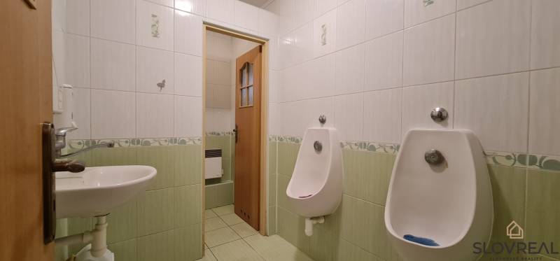 Predaj Domu v obci Lovča - Mužské toalety v rodinnom dome. Dlaždice v zeleno-bielej farebnej schéme.