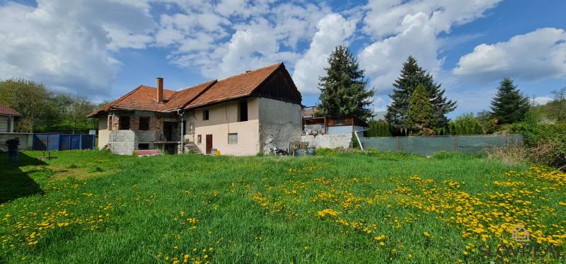 Na predaj dom Lutila, 713 m2 - Rodinný dom na ulici Nová potrebuje renováciu; okolo je zelená záhrada s púpavami.