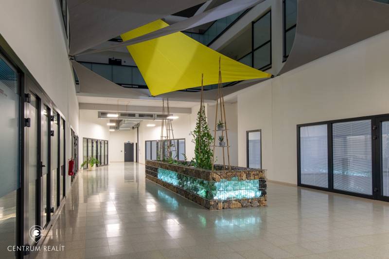 2-izbový byt v novostavbe Diamant Vajnory - Chodba s rastlinami a geometrickými závesmi v 2-izbovom byte.