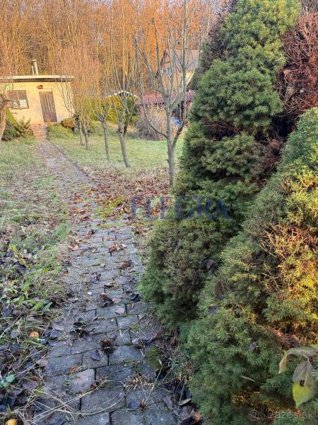 Na predaj  záhradná chata Zelený Dvor Košice - Chata na Prešovskej ceste v Košiciach, Sídlisko Ťahanovce obklopená stromami a chodníkom.