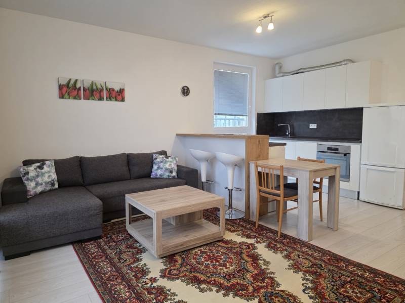 PREDAJ - 3 izbový byt blízko centra - Pivovarská ulica Nitra - Obývacia časť v 3-izbovom byte s kuchyňou, pohovkou, kobercom a podlahou s dreveným dekorom.