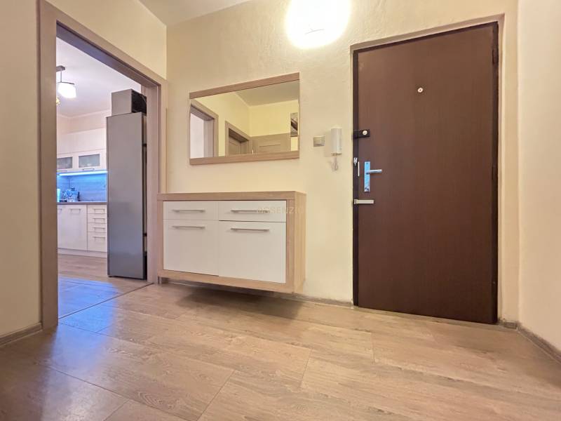 Prenájom- 2 izbovy byt- 49m2- Dadanova- Hájik  - Chodba 2-izbového bytu s podlahou s dreveným dekorom a pohľadom do kuchyne.