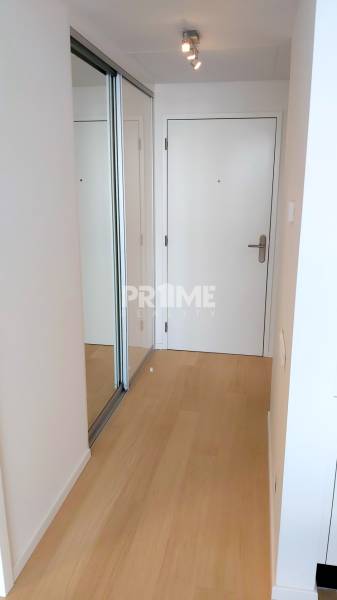 JEDINEČNÝ 2i byt, NOVOSTAVBA, KLÍMA, VÝHĽAD, PARKING, SKY PARK - Vstupná hala 2-izbového bytu s podlahou s dreveným dekorom a vstavanou skriňou.