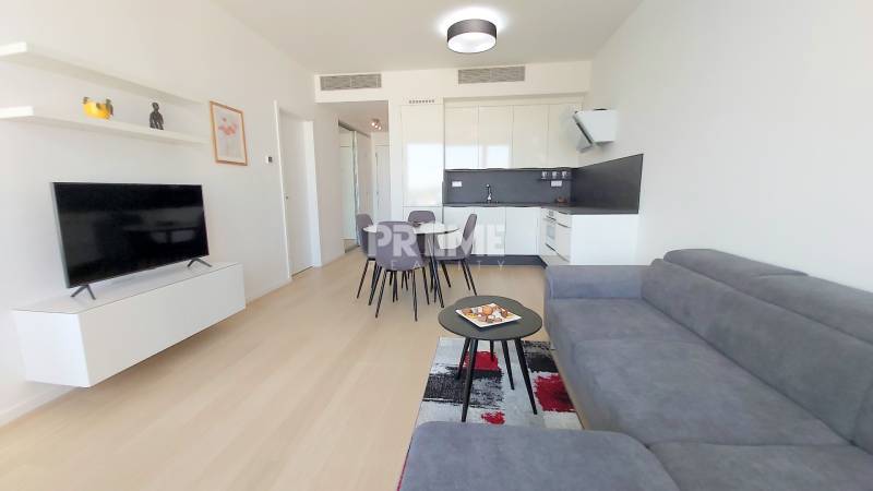 JEDINEČNÝ 2i byt, NOVOSTAVBA, KLÍMA, VÝHĽAD, PARKING, SKY PARK - Obývacia izba s kuchynským kútom, sivou sedačkou, televízorom a podlahou s dreveným dekorom.