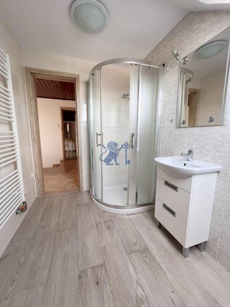 Na prenájom 3i byt v rodinom dome so záhradou - Vojenská ul. Rovinka - Mačiatko v kúpeľni 3-izbového bytu, ulica Vojenská, so sprchovacím kútom a úložným priestorom.