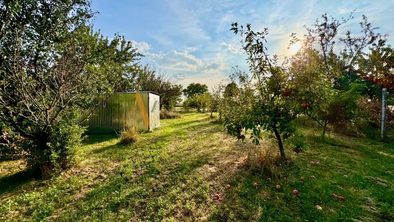 POZEMKY - ZÁHRADY OD 12.780€ | BLESOVCE  - Záhrada v Blesovciach na ulici blesovce určená pre Pozemky - bývanie s ovocnými stromami.