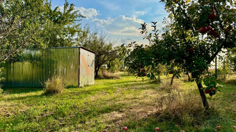 POZEMKY - ZÁHRADY OD 12.780€ | BLESOVCE  - Záhrada v Blesovciach na ulici blesovce s prístreškom a ovocnými stromami, Pozemky - bývanie.