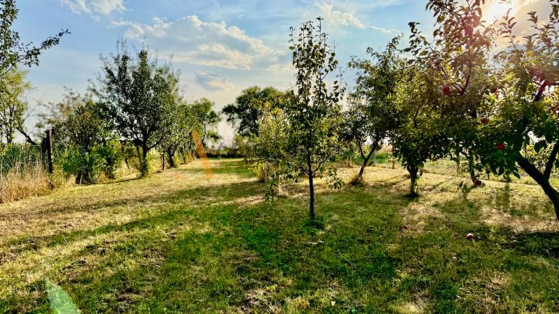 POZEMKY - ZÁHRADY OD 12.780€ | BLESOVCE  - Ovocné stromy v záhrade na pozemku pre bývanie v Blesovciach, blesovce.