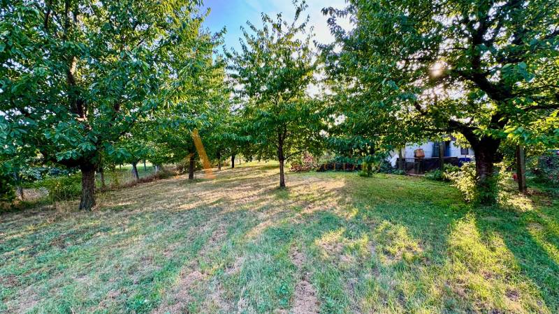 POZEMKY - ZÁHRADY OD 12.780€ | BLESOVCE  - Stromy v záhrade na pozemku v Blesovciach na ulici blesovce vhodné na bývanie.