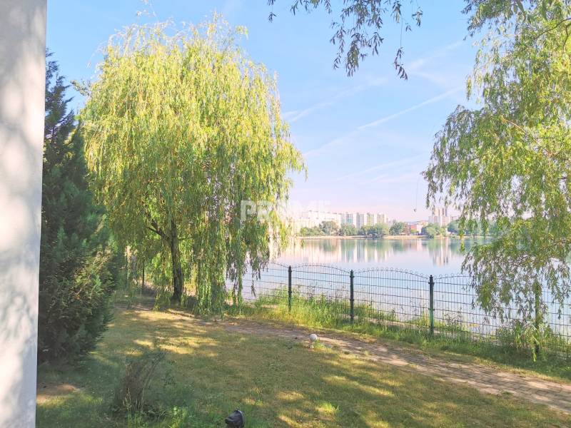 PEKNÁ GARSÓNKA, NOVOSTAVBA, KLÍMA, DRAŽDIAK HAUS, Antolská ulica - Záhrada pri jazere v Bratislave-Petržalke na Antolskej ulici, s vŕbami a plotom.