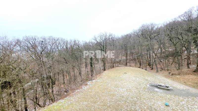 LUXUSNÝ 3i byt, TERASA, PARKING, KLÍMA, ZELENÁ HORKA, Ďumbierska ulica - Zasnežený les pri Bratislave na Ďumbierskej ulici s lavičkou pre oddych.