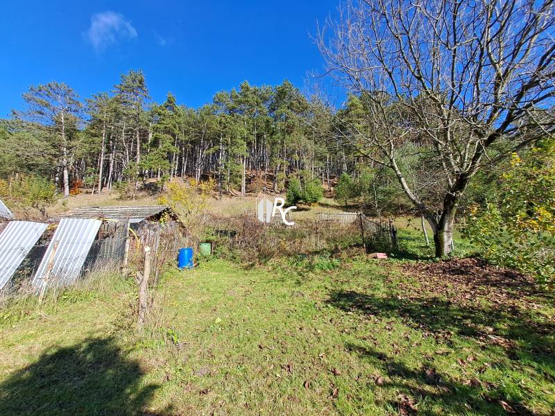 Šikovná drevenica pod lesom Slovenské Pravno  - Záhrada pri rodinnom dome v Slovenskom Pravne s vejárom stromov a kôlničkou.
