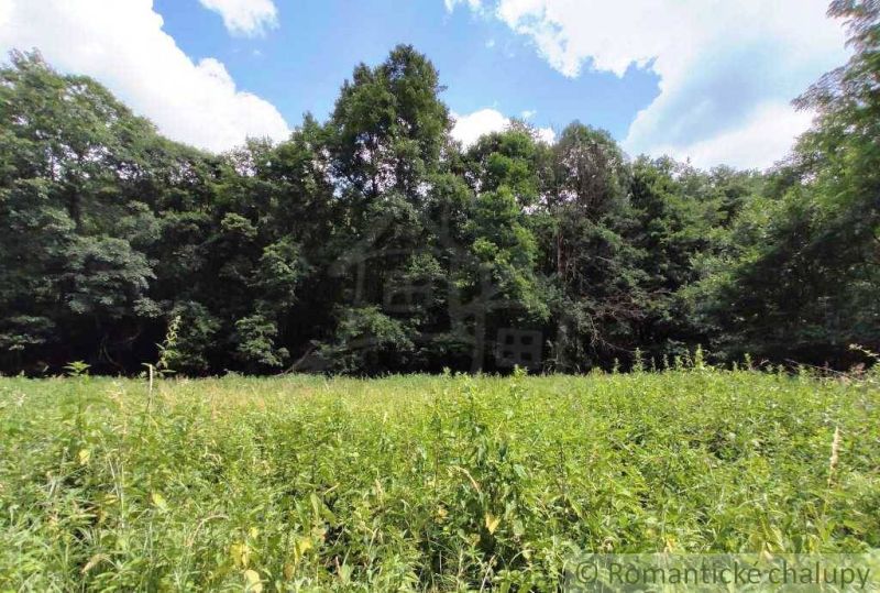 Les, ktorý má hodnotu aj o 30 rokov – 5, 3Ha v jednom celku, Hrušov (ok