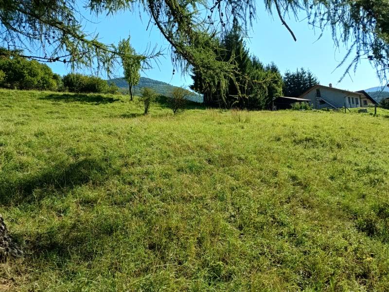 VRÍCKO - Stavebný pozemok vo výmere 1036 m2, okr.Martin - Zeleňou porastený pozemok v obci Vrícko, vhodný na bývanie s výhľadom na zeleň.