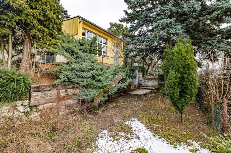 – EXKLUZÍVNE – NA PRENAJOM – DOM – MEDZIERKA – STARÉ MESTO - Rodinný dom na Medzierke v Bratislave - Starom Meste s oknami obklopený zeleňou a stromami.