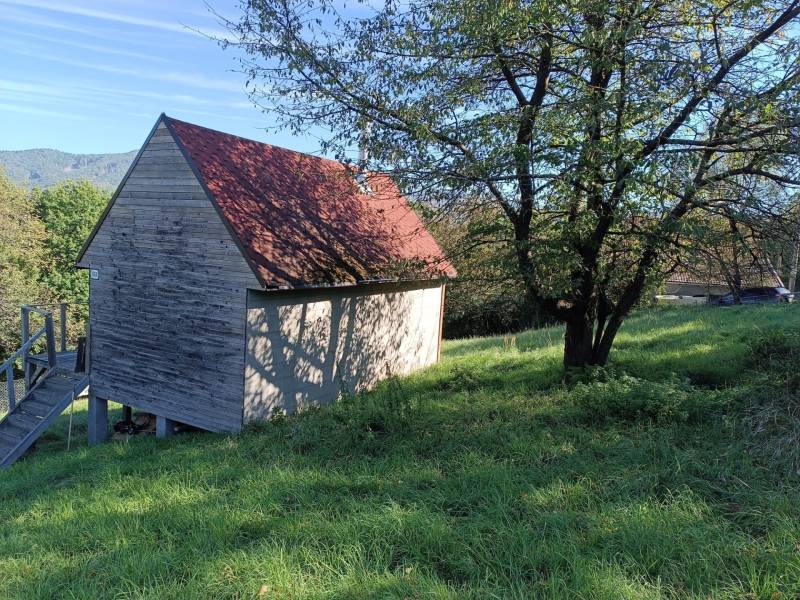 Na predaj záhradná chatka - Chata na ulici Na Gremenici v Žarnovici obklopená zeleňou a stromom, pokojná vidiecka atmosféra.