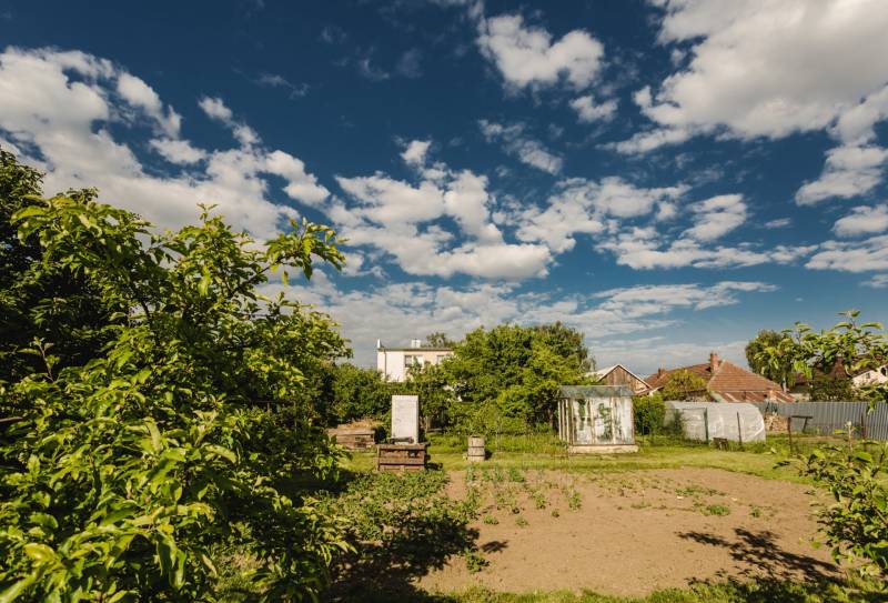 Dvojgeneračný rodinný dom s potenciálom | 2 bytové jednotky, TV - Záhrada rodinného domu na SNP ulici v Trebišove, s prístreškom a hriadkami.