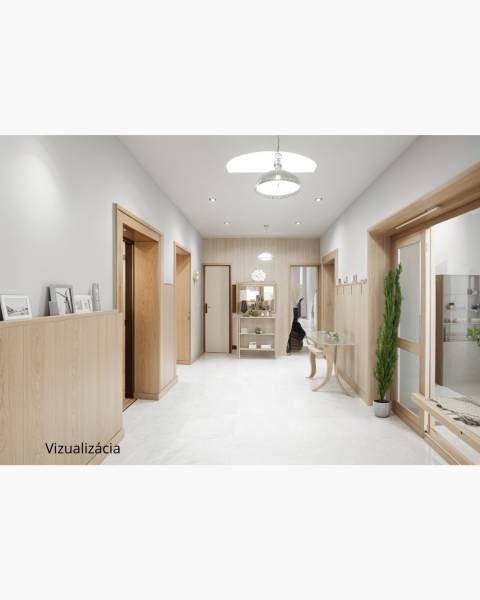 Dvojgeneračný rodinný dom s potenciálom | 2 bytové jednotky, TV - Interiér rodinného domu s drevom, svetlými stenami a rastlinami v modernom dizajne.