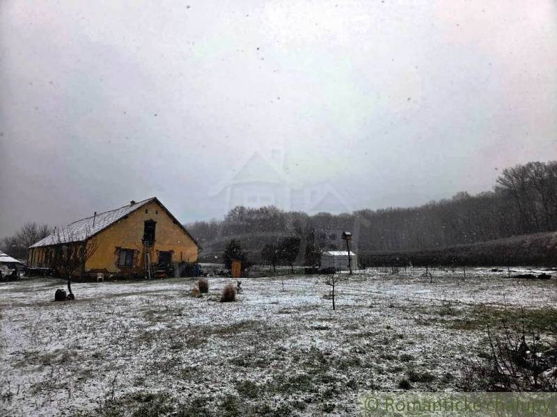 27130m2 samota obklopená lesom - Šalov, okres Levice - Zasnežená chata v Šalove na rozľahlej lúke obklopenej stromami v zime.