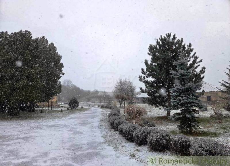 27130m2 samota obklopená lesom - Šalov, okres Levice - Zasnežená záhrada s ihličnatými stromami pri Chate v Šalove.