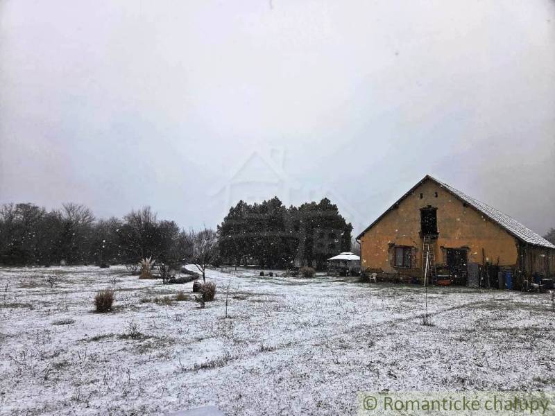 27130m2 samota obklopená lesom - Šalov, okres Levice - Zasnežená záhrada pri chate v Šalove so zasneženými stromami a jednoduchým domom.