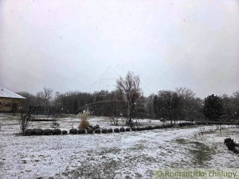 27130m2 samota obklopená lesom - Šalov, okres Levice - Zasnežená záhrada pri chate v Šalove s kríkmi a stromami počas sneženia.