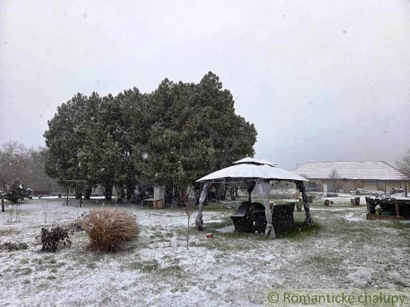27130m2 samota obklopená lesom - Šalov, okres Levice - Zasnežená záhrada s altánkom a stromami pri chate v Šalove.