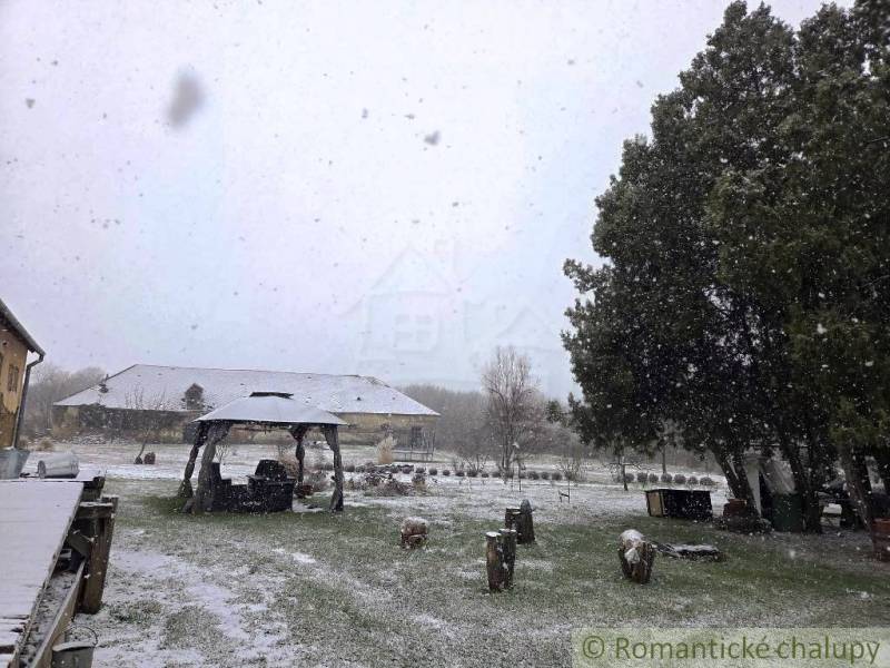 27130m2 samota obklopená lesom - Šalov, okres Levice - Zimná atmosféra v Šalove s vidieckou chatou a snehom pokrytým areálom.