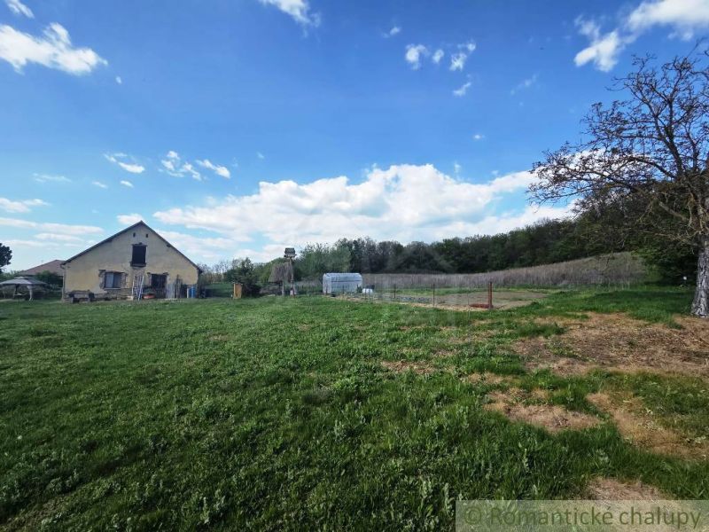 27130m2 samota obklopená lesom - Šalov, okres Levice