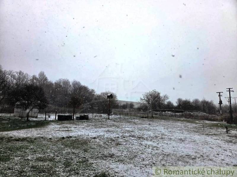 27130m2 samota obklopená lesom - Šalov, okres Levice - Zasnežený exteriér Chaty v okolí Šalova, s poletujúcimi snehovými vločkami a holými stromami.