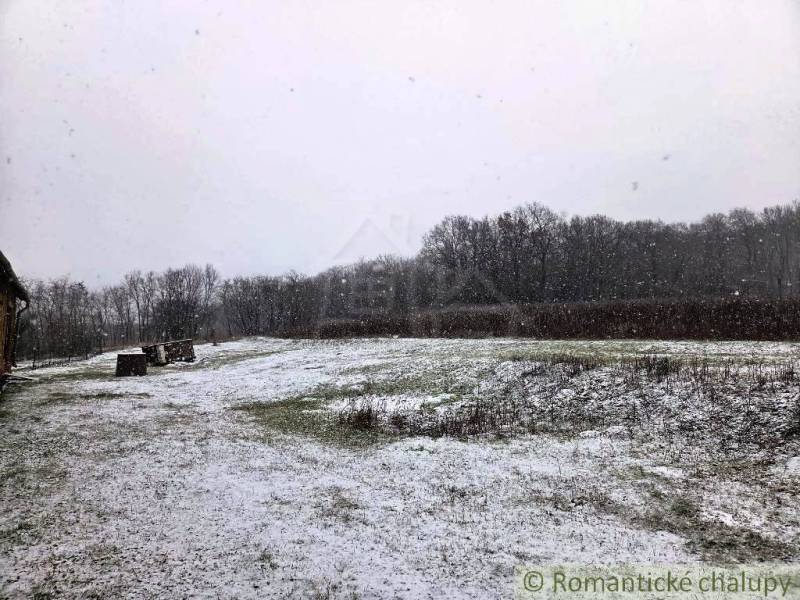 27130m2 samota obklopená lesom - Šalov, okres Levice - Sneh pokrýva trávnatú plochu za chatou v Šalove, na pozadí les.