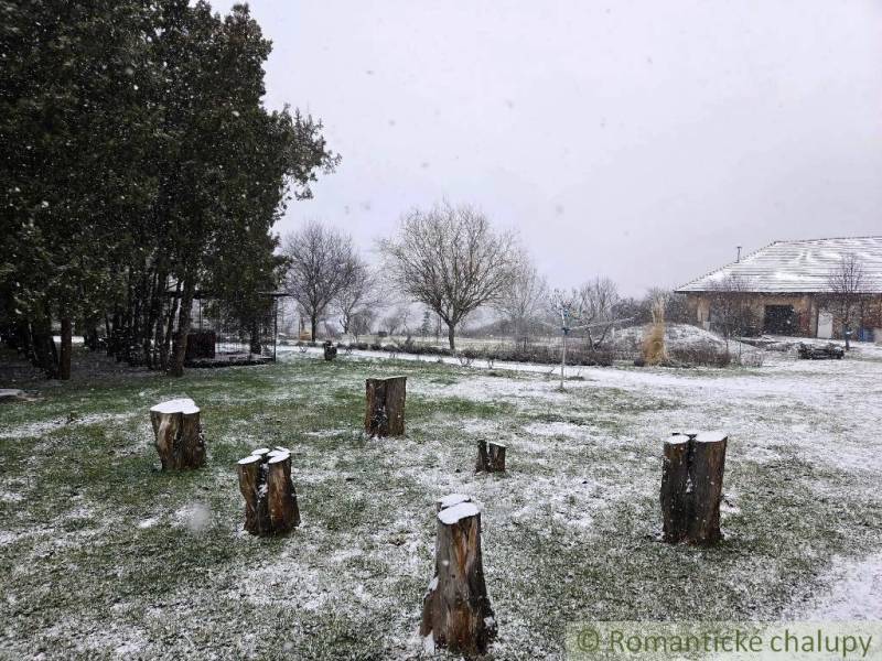 27130m2 samota obklopená lesom - Šalov, okres Levice - Zasnežená záhrada v Šalove s chatou a stromami počas zimného obdobia.