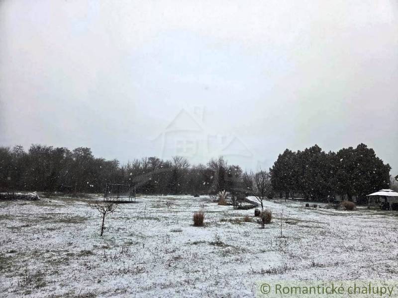 27130m2 samota obklopená lesom - Šalov, okres Levice - Sneženie na záhrade chaty v Šalove obklopenej stromami a zasneženou krajinou.