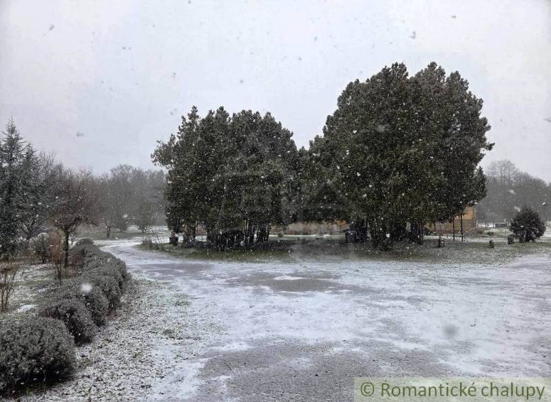 27130m2 samota obklopená lesom - Šalov, okres Levice - Snehová krajina v Šalove s chumáčom stromov pri chate.