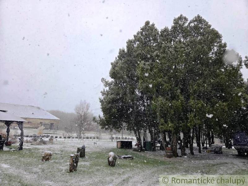 27130m2 samota obklopená lesom - Šalov, okres Levice - Zasnežená Chata v Šalove obklopená stromami a trávičkou pokrytou snehovými vločkami.