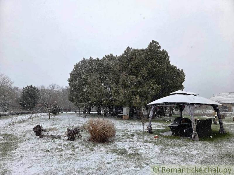 27130m2 samota obklopená lesom - Šalov, okres Levice - Zasnežená záhrada pri chate v Šalove s altánkom a stromami.