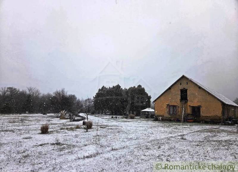 27130m2 samota obklopená lesom - Šalov, okres Levice - Zasnežená chata v Šalove obklopená stromami a zasneženými lúkami.