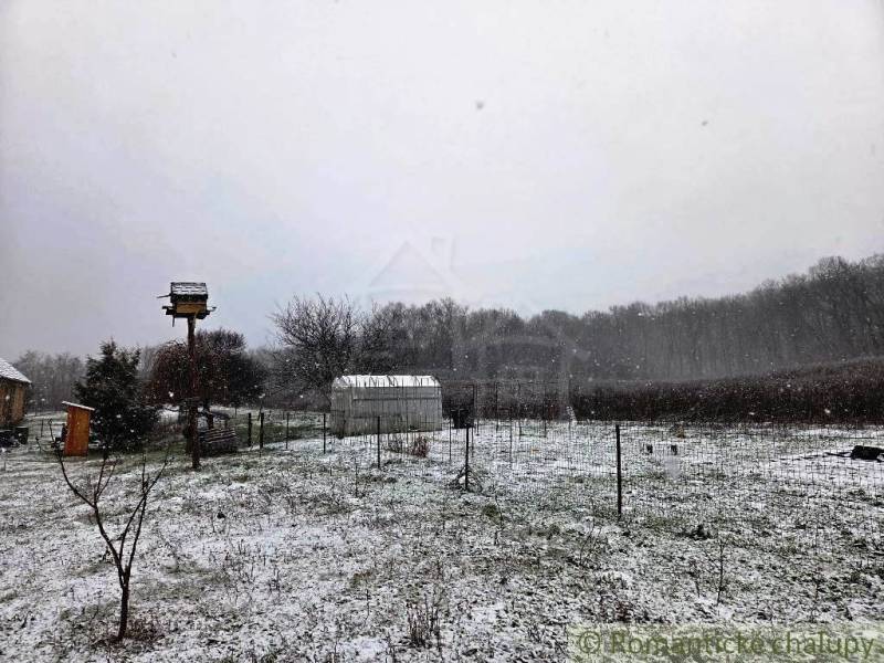 27130m2 samota obklopená lesom - Šalov, okres Levice - Zasnežená záhrada pri chate v Šalove s dreveným kŕmidlom a skleníkom.
