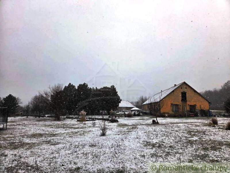 27130m2 samota obklopená lesom - Šalov, okres Levice - Zasnežená chata v Šalove obklopená zimnou prírodou a stromami.