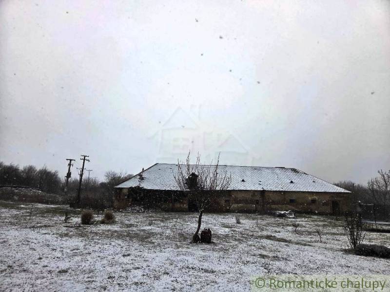 27130m2 samota obklopená lesom - Šalov, okres Levice - Zasnežená chata v Šalove, zasadená do prírodného prostredia.