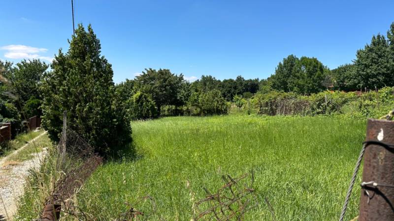 NA PREDAJ stavebný pozemok pod Zoborom ‼️znizena cena - Zelený pozemok na ulici Azalková, ideálny na bývanie, s bohatou vegetáciou.