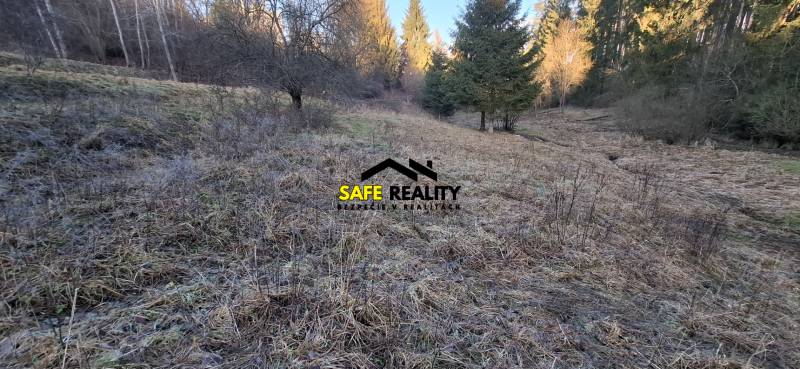 Rekreačný pozemok Čadca - Rekreačné pozemky v okolí Čadce s trávnatým porastom a lesným okrajom.