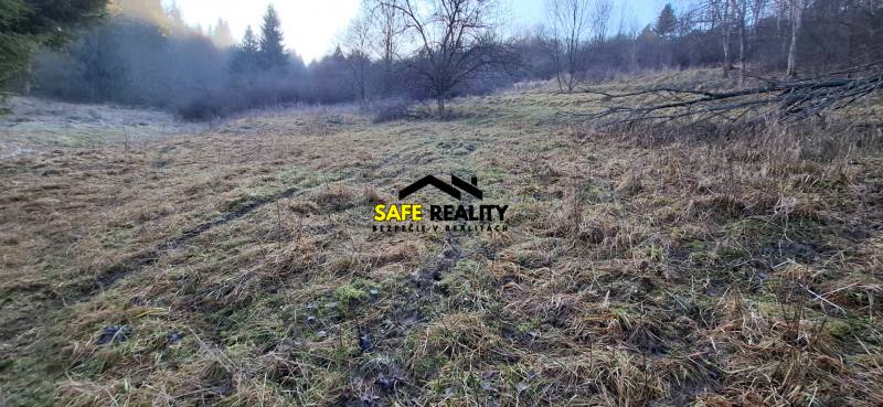 Rekreačný pozemok Čadca - Chladná krajina Rekreačných pozemkov v Čadci so spadnutými stromami a zvyškami trávy.