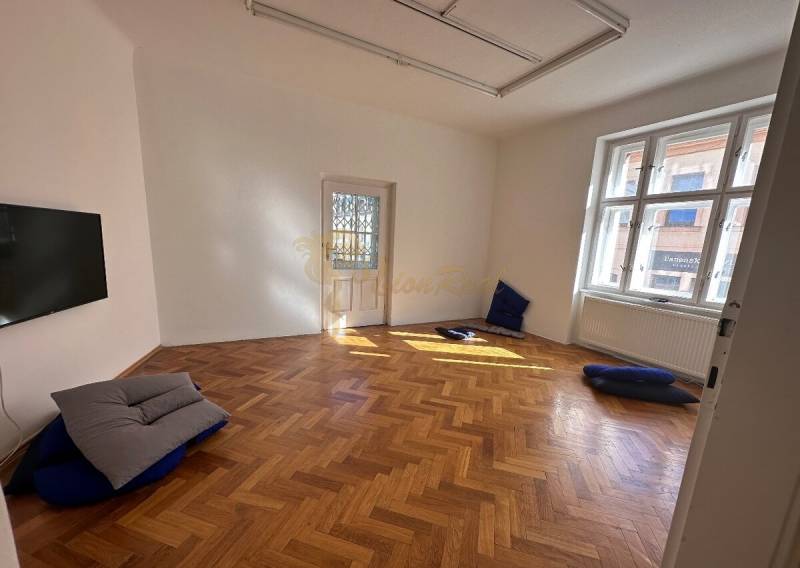 3,5 izb. byt v priamo centre Bratislavy na pešej zóne - Miestnosť v 4-izbovom byte s podlahou s dreveným dekorom a vankúšmi na zemi.